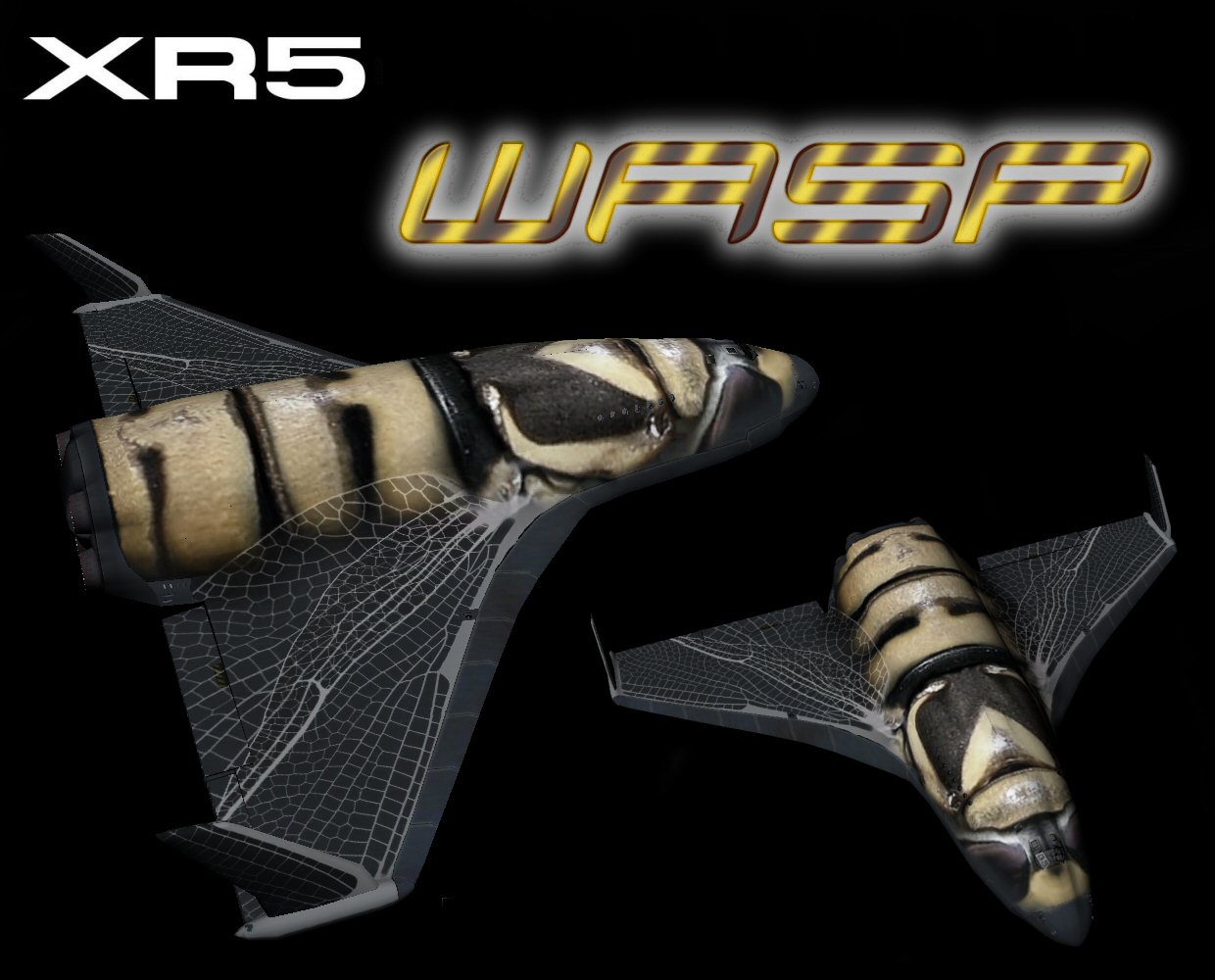 XR5 Wasp Pic.jpg